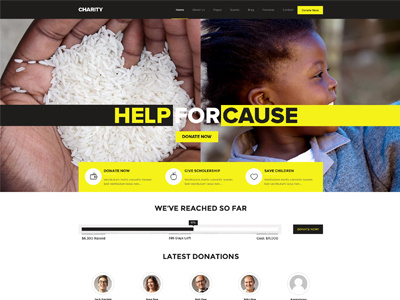 Charity / Fundraising WordPress Theme