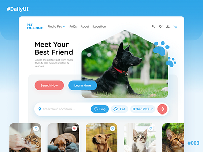 Daily UI #003 - Landing Page adopt adoption dailyui design dog ui ui design uiux webdesign website