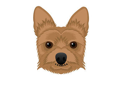 Yorkshire Terrier Illustration design illustration vector