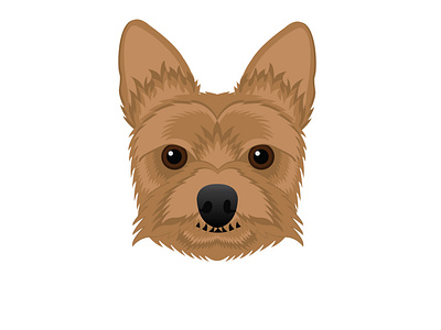 Yorkshire Terrier Illustration