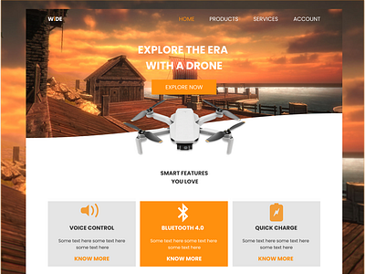 Drone landing page