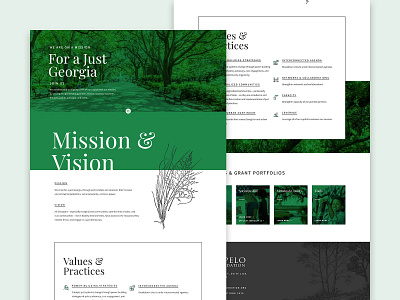 Sapelo Foundation Website branding design nonprofit website