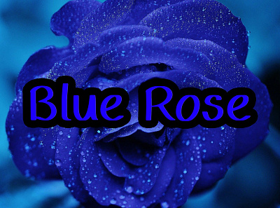 Blue Rose planner