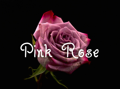 Pink Rose planner