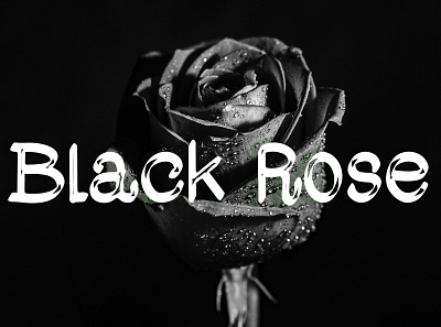 Black Rose planner