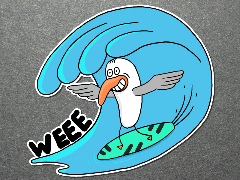 Surfing Seagull