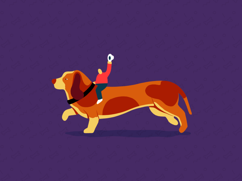 Dog race 2 animal animation dachshund dog fast flat frame by frame hand drawn hat illustration race ride rider run speed