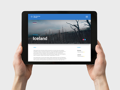 PanAm Concept Design airline app ios ipad layout minimal mobile ui