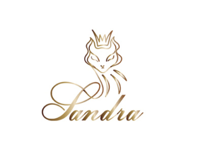 Sandra branding design graphic design illustration logo vector кот персонаж