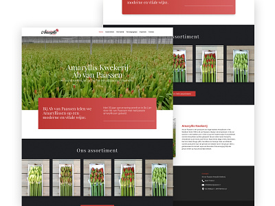 Amaryllis flower website amaryllis design flower freelance designer inspiration mennovanpaassen ui webdesign website