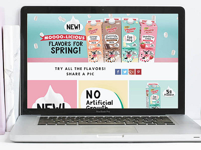 Website Spring Milks Mockup branding calf cow graphic design illustration spring