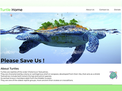 Turtle Home app design figma icon illustration logo turtle typography ui ux