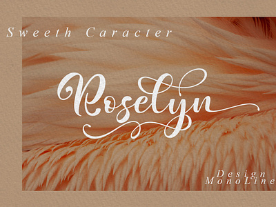 Sweeth Caracter Script Font