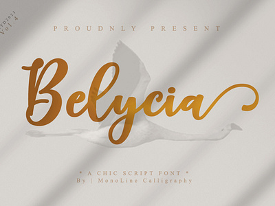 Belycia | a chicc script font | Design By MonoLine Calligraphy