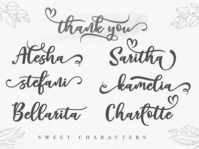 Belycia | a chicc script font | Design By MonoLine Calligraphy