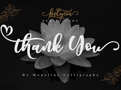 Belycia | a chicc script font | Design By MonoLine Calligraphy