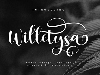 Willetysa | A Chicc Script Typeface | Design By MonoLine Calligr