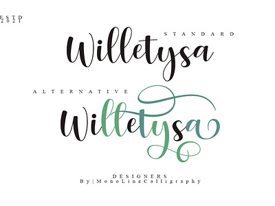 Willetysa | A Chicc Script Typeface | Design By MonoLine Calligr