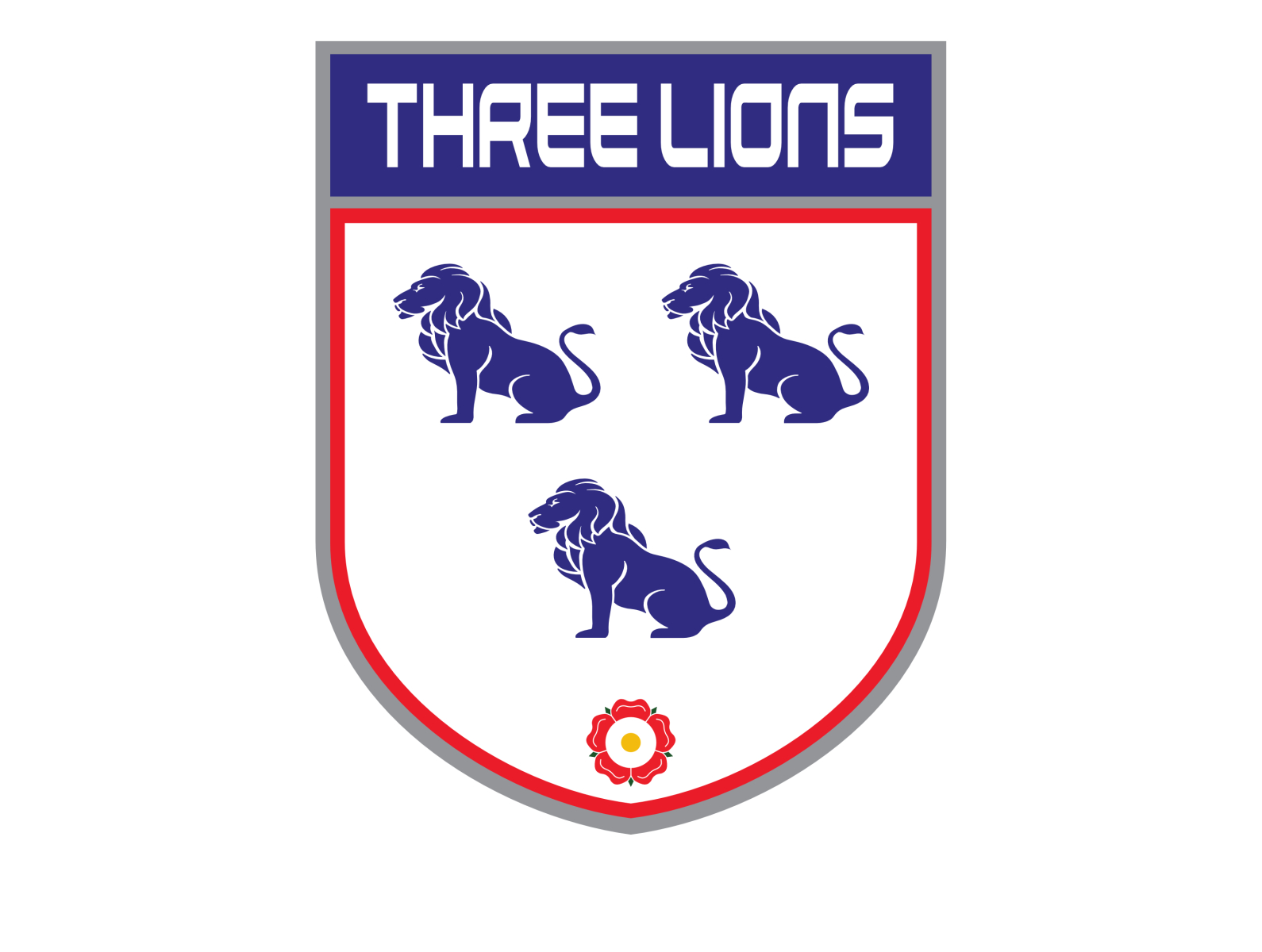 3 Lions, But What Does That Mean?