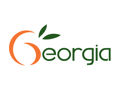 Georgia brand design georgia graphic design identity logo peach south state travel visual