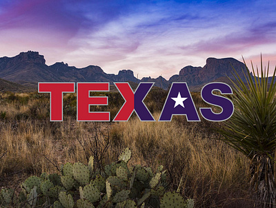 Texas brand design flag graphic design identity logo lone star state texas travel visual