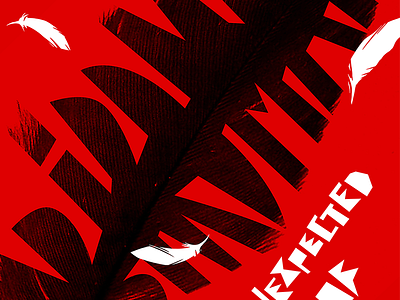 Poster for "Birdman" movie bird black brush calligraphy letter lettering poster raven red typography white