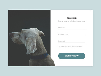 Daily UI 001 - Sign Up 001 dailyui dog form sign up ui ux web web design