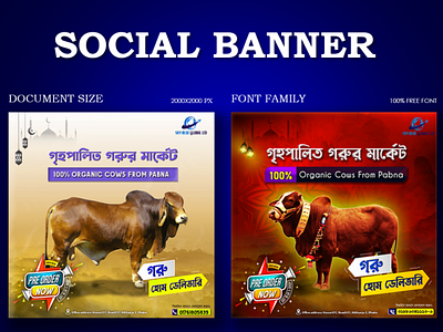 Social Banner Design ad design banner ad facebook banner graphic design web banner youtube banner