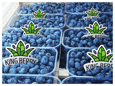 Kingsberry - badges on real product berries blueberry branding crown diamonds green. blue identity leaves logo product