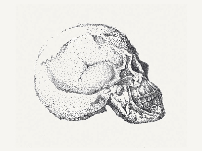 Skull black dots dotwork illustration profile skull skullhead vanité