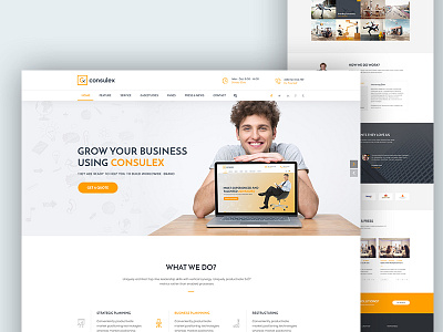 Consulex analysis business consultant feature finance homepage html seo table