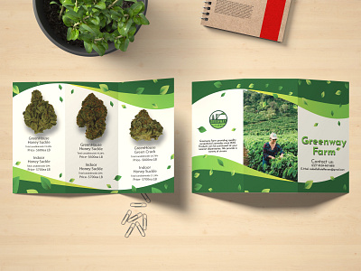 Brochure- Greenway farm branding design ui