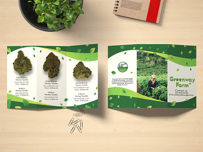 Brochure- Greenway farm