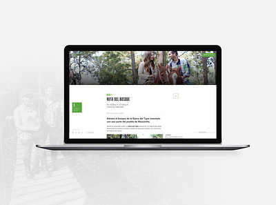 Greenforest - Routes Detail design development ecommerce uxui web website