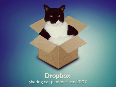 It's a Cat in a Box cat dropbox kitty