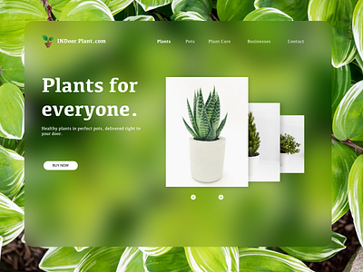 Plants web design