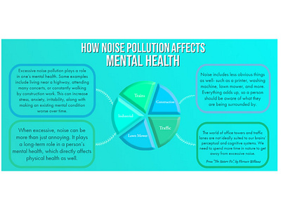 Noise Pollution Infographic