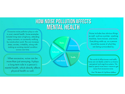 Noise Pollution Infographic