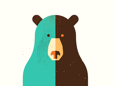 the Bear