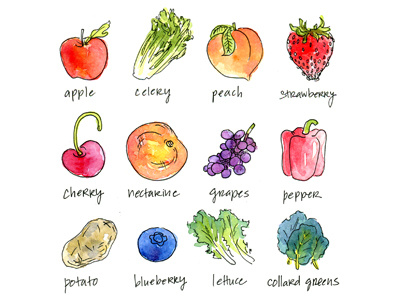 Organic Food food illustration noms organic