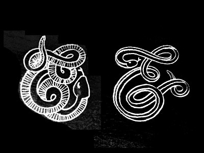 Snake&Snake ampersand and handdrawn illustration lettering snake type