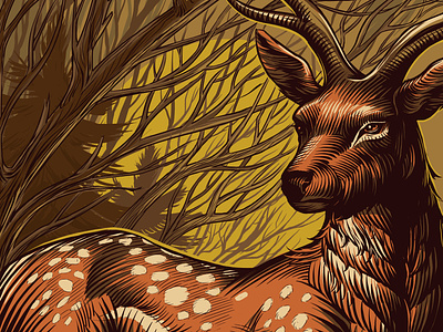 Dappled deer (fragment) animal dappled deer engraving graphic illustration rare vintage