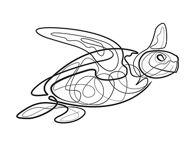 Single Line Turtle black white drawing illustration line pen turtle