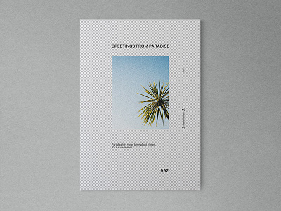 Greetings From Paradise layout poster summer tropical typography