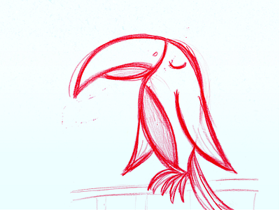 Sketch Bird design draw drawing illustration pencil sketch