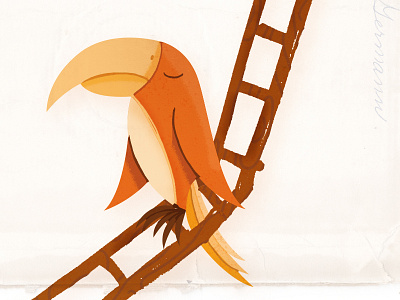 Sketch Burrdd 2 bird design illustration sketch toucan