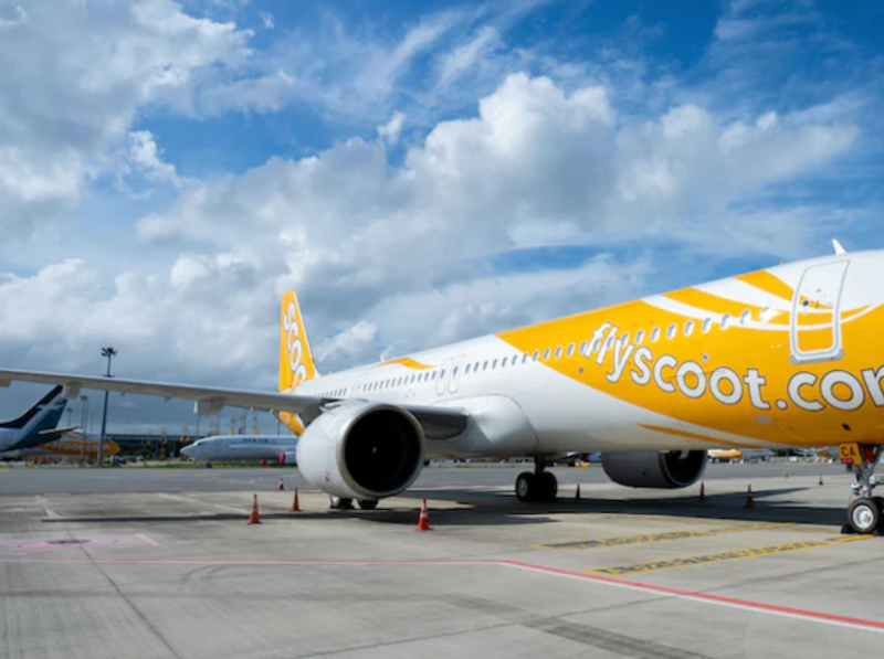 Scoot Cabin Bags and Baggage Allowance Policy by Cabinzero on Dribbble