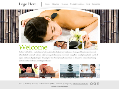 Acupuncture Website Template acupuncture dh designs doug harris template web design website