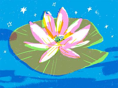 hi flower illustration lotus