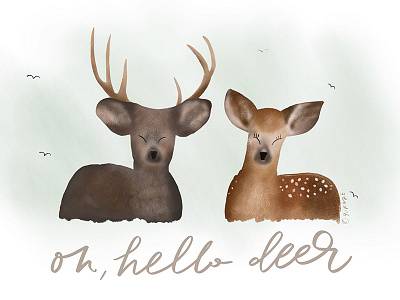 Oh, Hello deer hand lettering illustration ipad pro lettering procreate